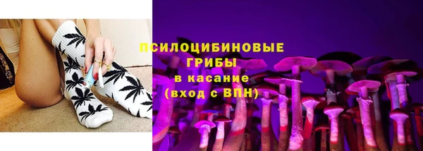 стаф Вязьма