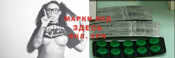 стаф Вязьма