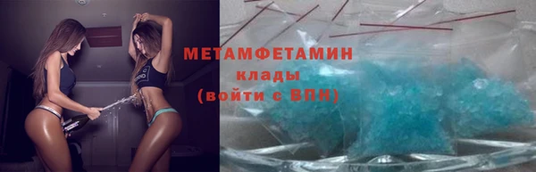 стаф Вязьма
