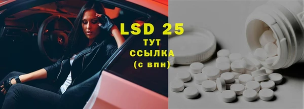 прущие крисы Гусев