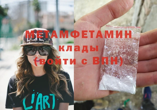 прущие грибы Гусиноозёрск