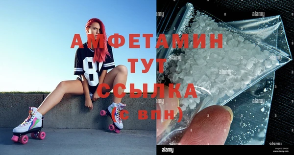стаф Вязьма
