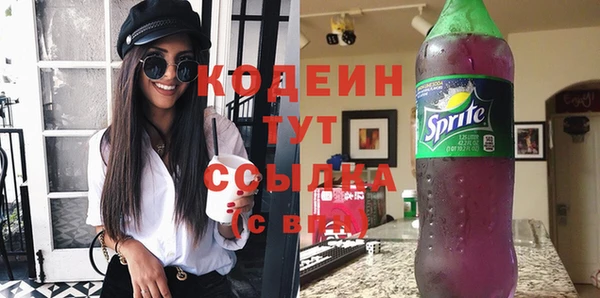 стаф Снежинск
