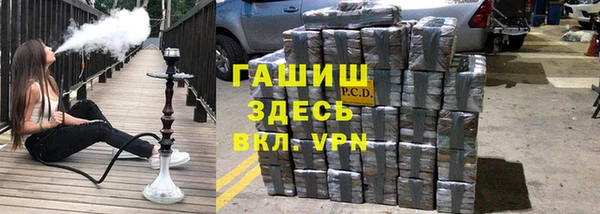 стаф Вязьма