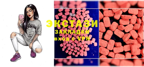 прущие грибы Гусиноозёрск