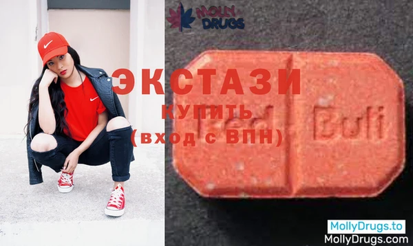 стаф Вязьма