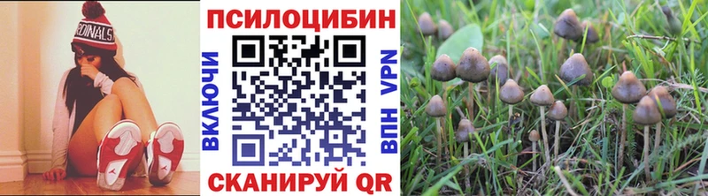 сайты даркнета клад  Дюртюли  Галлюциногенные грибы прущие грибы 