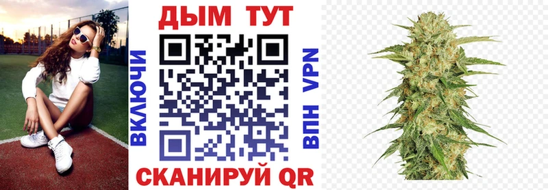 Бошки марихуана MAZAR  магазин продажи наркотиков  Дюртюли 